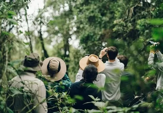 Which Month is Best for Gorilla Trekking in Uganda? 2026 Weather Guide